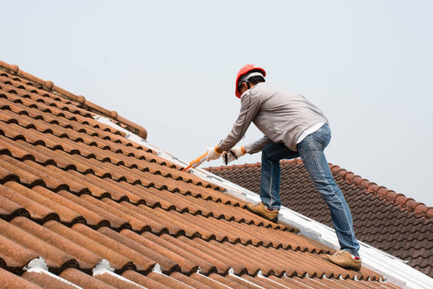 Best Asphalt Shingle Roofing  in Claxton, GA